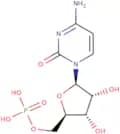 Cytidine 5'-monophosphate