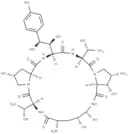 Echinocandin B nucleus