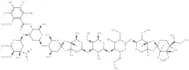 Everninomicin D