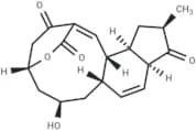 Macquarimicin A