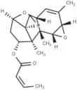 Crotocin