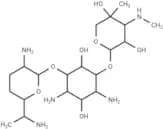 2-Hydroxygentamicin C2