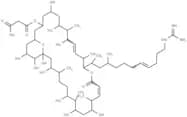 Neocopiamycin A