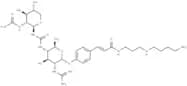 Glycocinnasperimicin D