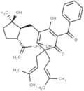 Hypercalin B