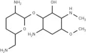 Istamycin Y0
