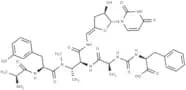 Pacidamycin 2