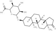 Etiocholanolone glucuronide