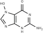 7-Hydroxyguanine
