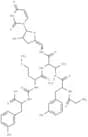 Mureidomycin C