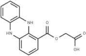 Endophenazine D