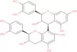 Procyanidin B3