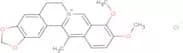 13-Methylberberine chloride