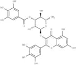 3''-O-Galloylmyricitrin