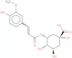 5-Feruloylquinic acid