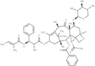 7-Xylosyl-10-deacetyltaxol B