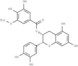 (-)-Epicatechin-3-(3''-O-methyl) gallate
