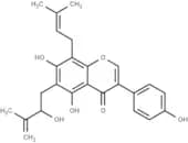 Isoerysenegalensein E
