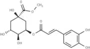 Neochlorogenic acid methyl ester