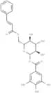 1-O-galloyl-6-O-cinnamoylglucose