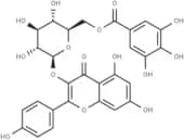 Kaempferol 3-O-(6''-galloyl)-β-D-glucopyranoside
