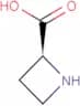 L-Azetidine-2-carboxylic acid