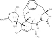 Pyrrocidine A