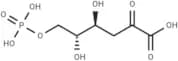 2-Keto-3-deoxy-6-phosphogluconate
