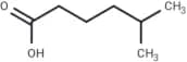 5-Methylhexanoic acid