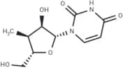 3'-Deoxy-3'-α-C-methyluridine