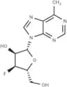 9-(3-Deoxy-3-fluoro-β-D-ribofuranosyl)-6-methyl-9H-purine