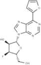 6-(Furan-2-yl)purine-β-D-(3'-deoxy-3'-fluoro)riboside