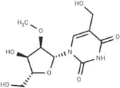 2'-O-Methyl-5-hydroxymethyluridine