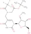 5-N-(t-Butyloxycarbonylmethyl)-N-trifluoro acetyl-aminomethyl-2'-O-methyluridine