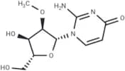 2'-O-Methyl isocytidine