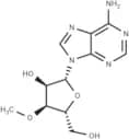 3'-O-Methyladenosine