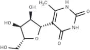 6-Methylpseudouridine