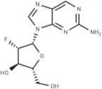 2-Aminopurine -9-β-D-(2'-deoxy-2'-fluoro)arabino-riboside