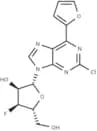 2-Chloro-6-(furan-2-yl)purine-β-D-(3'-deoxy-3'-fluoro)riboside
