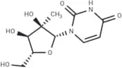 2'-C-Methyl uridine