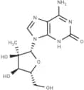 2'-C-Methyl isoguanosine