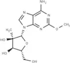 2'-C-Methyl-2-methoxyadenosine