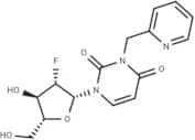 2'-Deoxy-2'-fluoro-N3-[(pyridin-2-yl)methyl]-β-D-arabinouridine