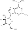 2'-b-C-Methyl-2-amino-N6,N6-dimethyladenosine