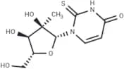 2'-C-Methyl-2-thiouridine