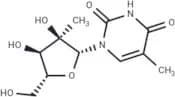 2'-C-Methyl-5-methyluridine