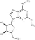 N6-Methyl-2-methylthioadenosine