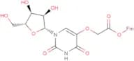 Uridine-5-oxo-acetyl-(9-fluorenylmethyl)   ester