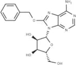 8-Benzyloxyadenosine