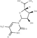 5'(R)-C-Methyl-5-methyluridine